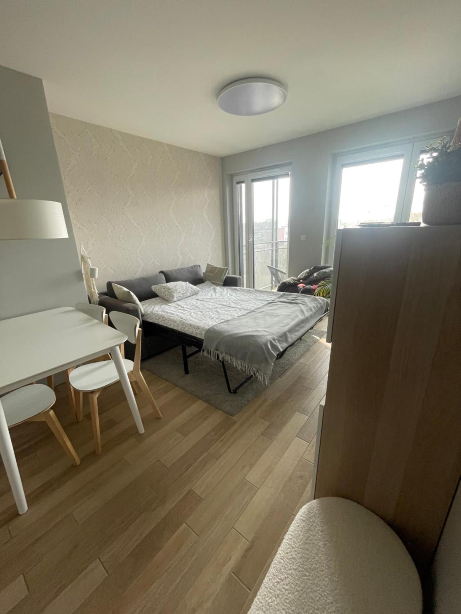 Sloneczny Apartament Z Garazem Przy Parku Kosciuszki Катовіце Екстер'єр фото